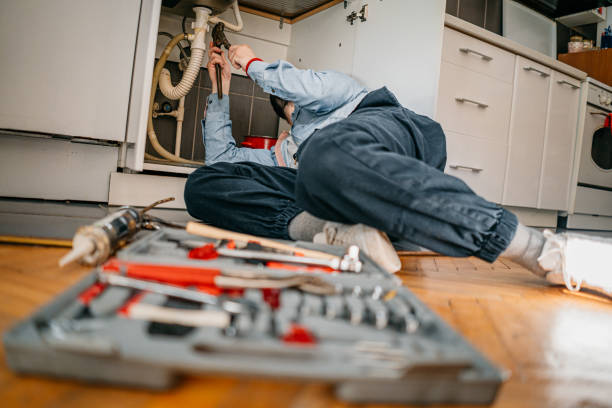 Best Affordable Plumbing Services  in Wailua Homesteads, HI