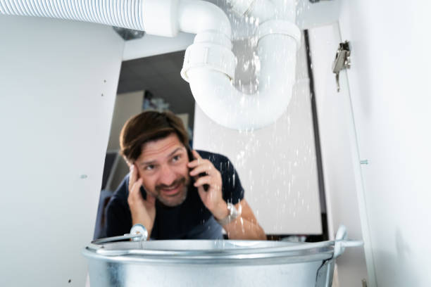 Best Affordable Plumber Near Me  in Wailua Homesteads, HI