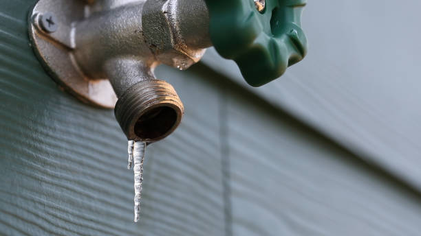 Best Plumbing Services Near Me  in Wailua Homesteads, HI