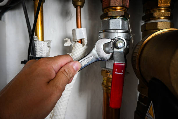 Best Same-Day Plumbing Service  in Wailua Homesteads, HI